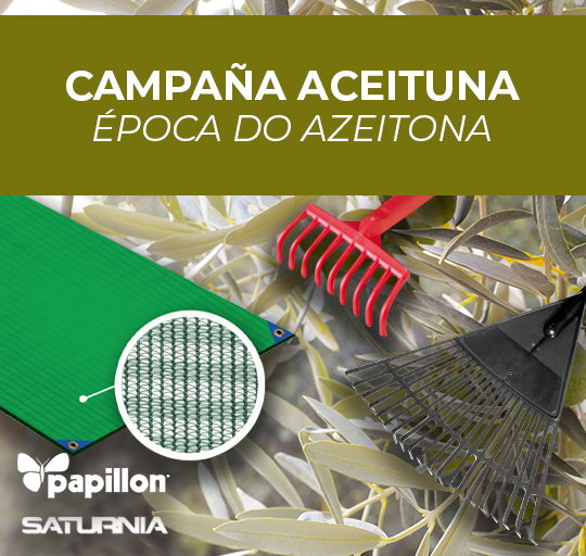 AFT - Especial Aceituna