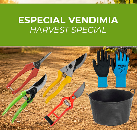 AFT - Especial vendimia 2026