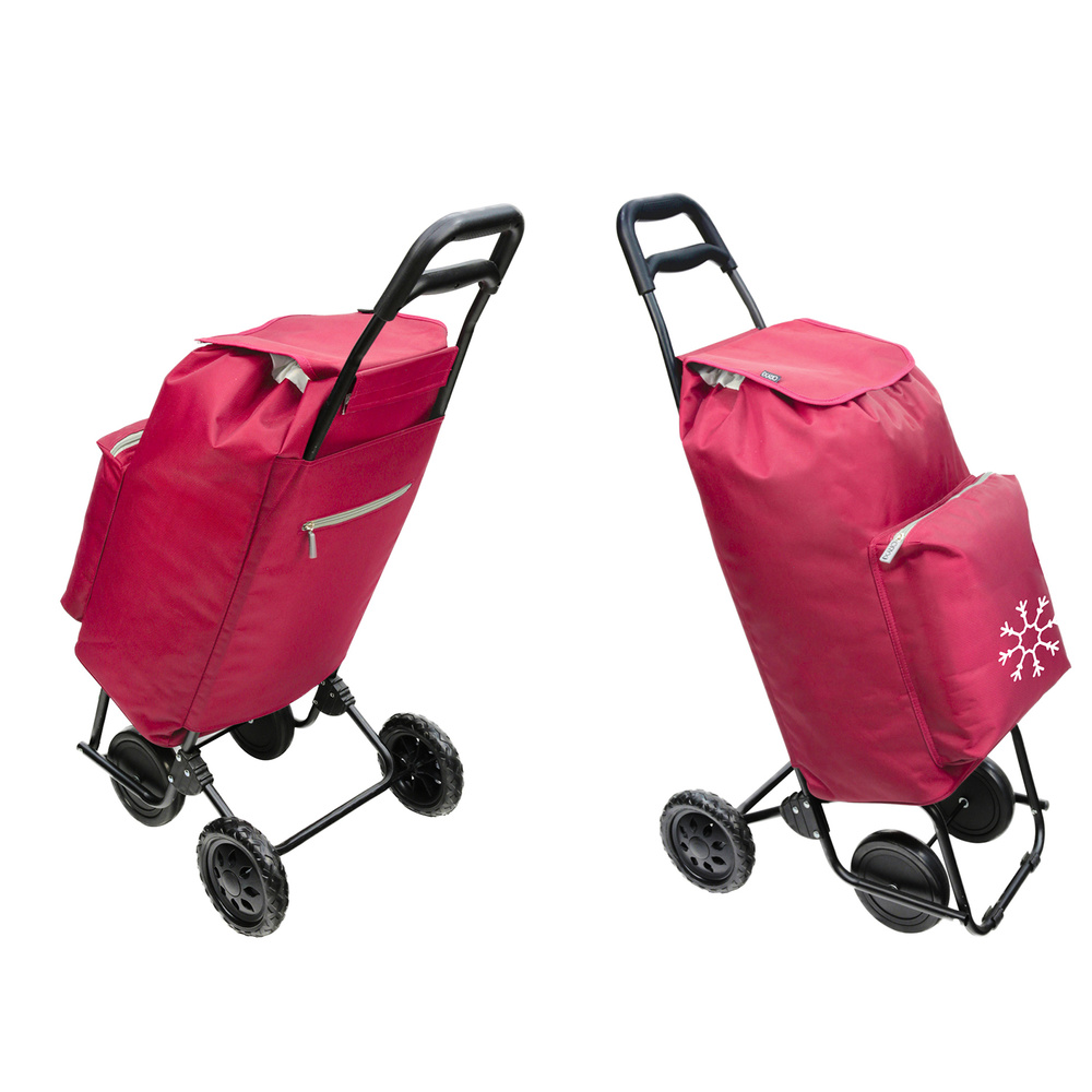 🥇 distribuidor carro compra 4 ruedas con bolsa térmica 45 litros color