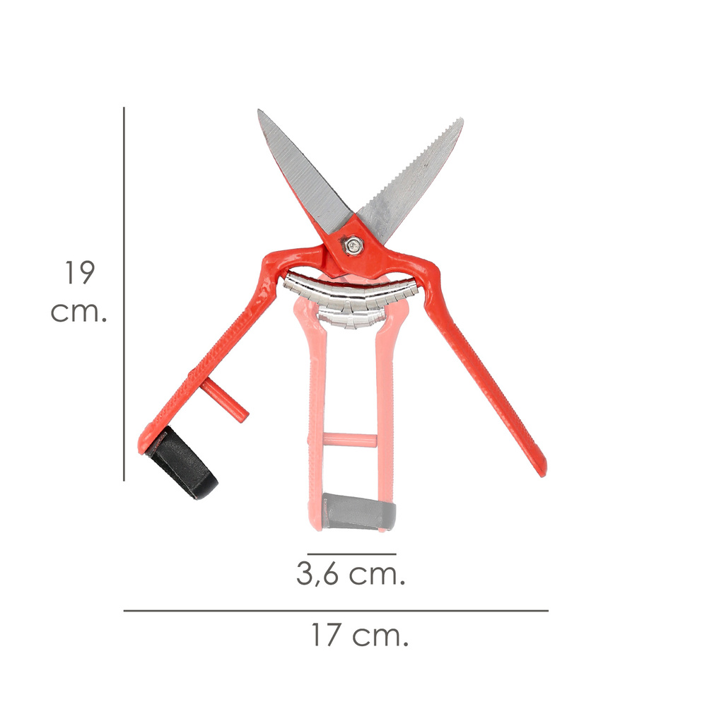 Tijeras Vendimiar Forjada Recta  1 Mano   19 cm.