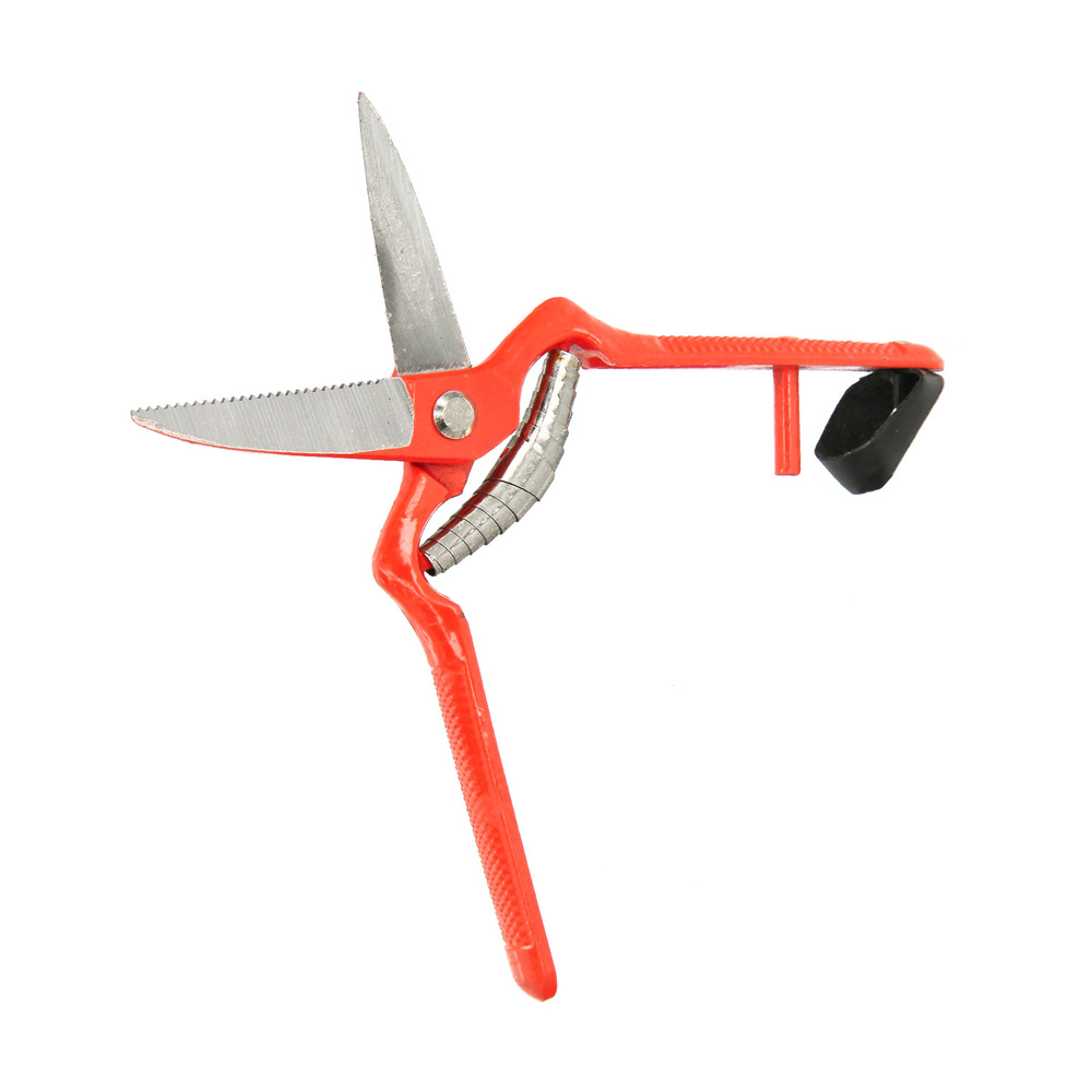 Tijeras Vendimiar Forjada Recta  1 Mano   19 cm.
