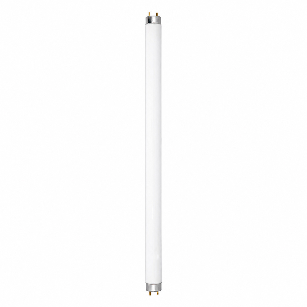 Lampara Recambio Para Exterminador  10 Watt.