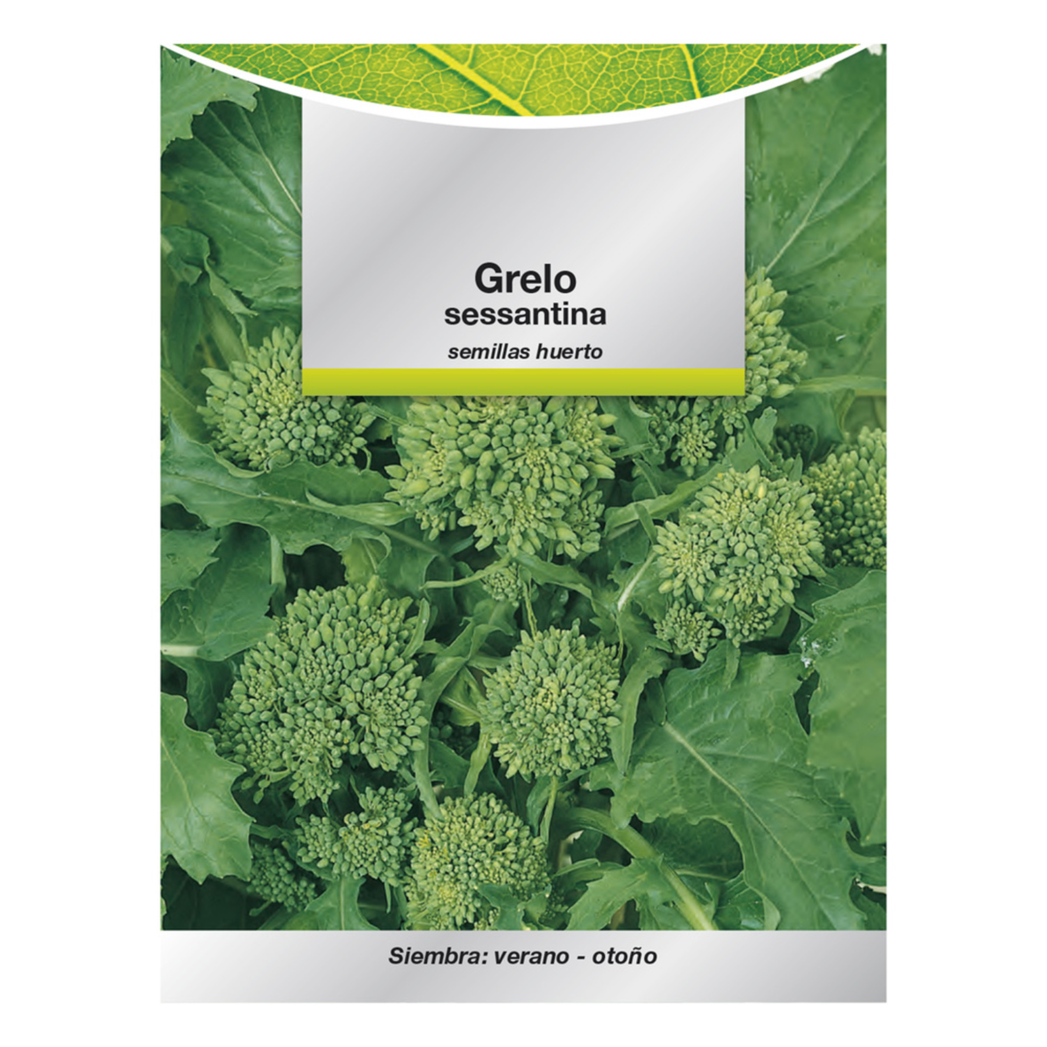 Semillas Grelo Brocoli (10 gramos) Semillas Verduras, Horticultura, Horticola, Semillas Huerto.