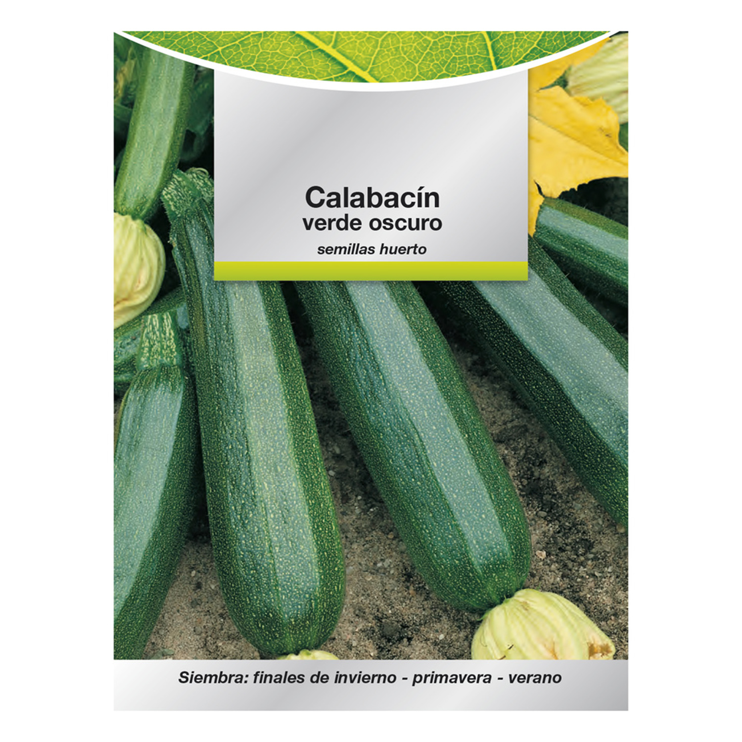 Semillas Calabacin Verde Oscuro (5 gramos) Semillas Verduras, Horticultura, Horticola, Semillas Huer