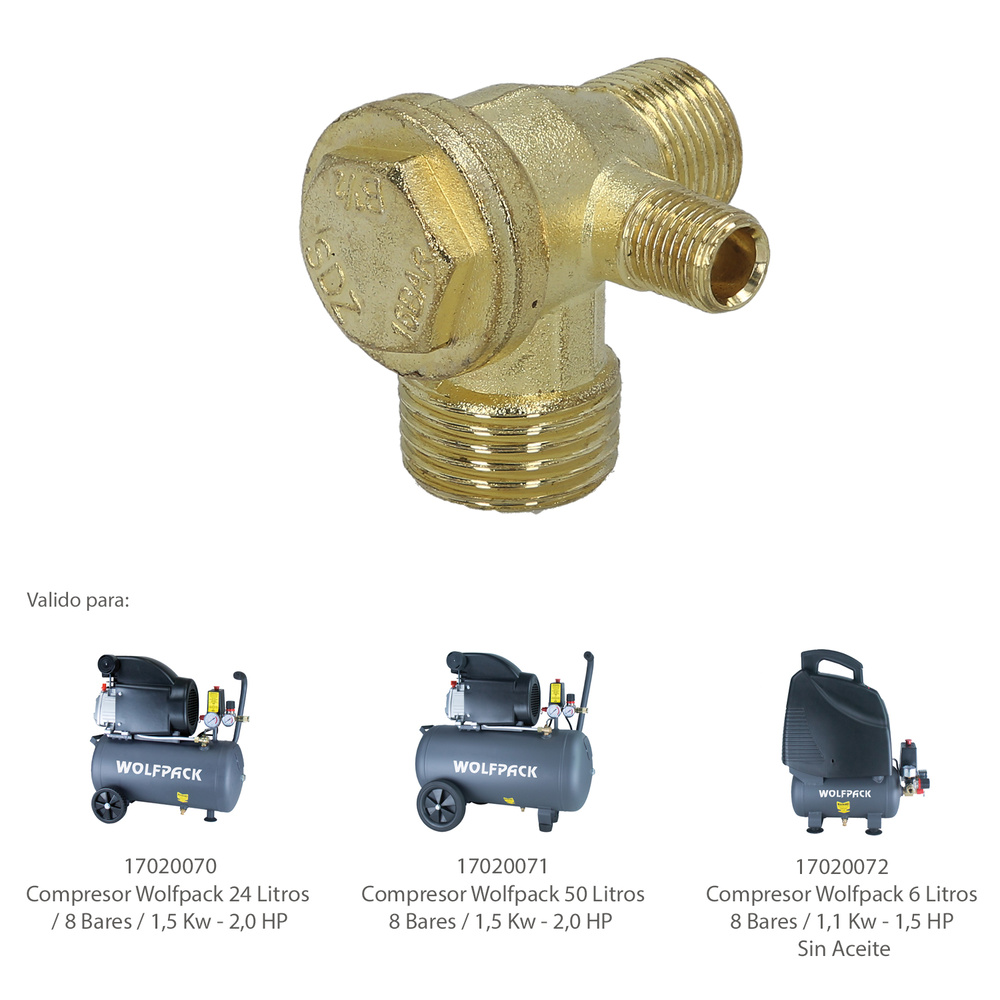 Valvula Antirretorno Para Compresor 17020070 / 17020071 / 17020072 (P.44)
